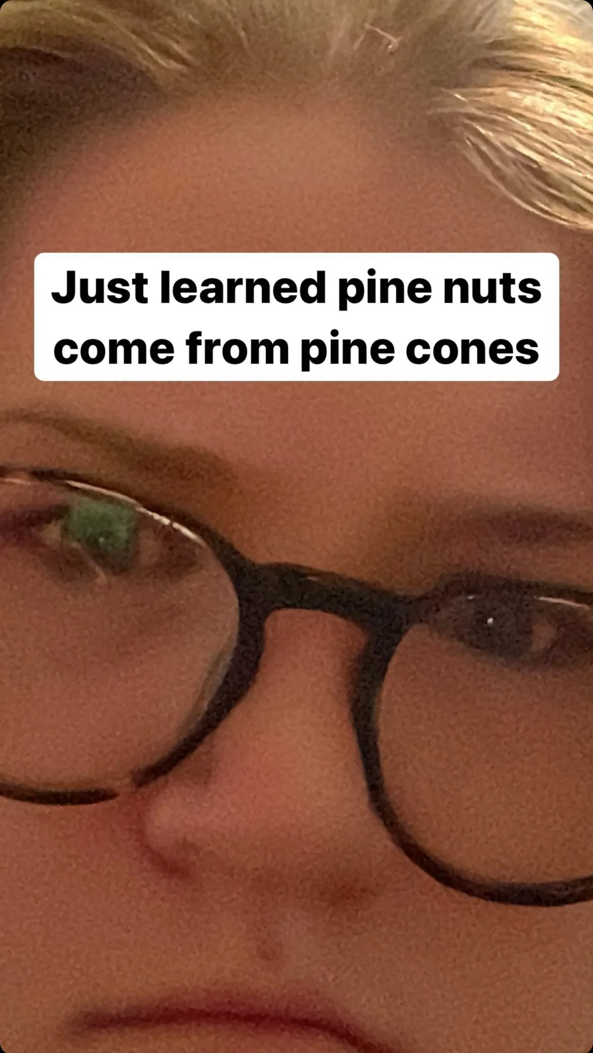 Did You Know? Pine Nuts Come From Pine Cones Tote Bag