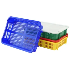 Fish and Farm Tray ASSORTED COLOUR