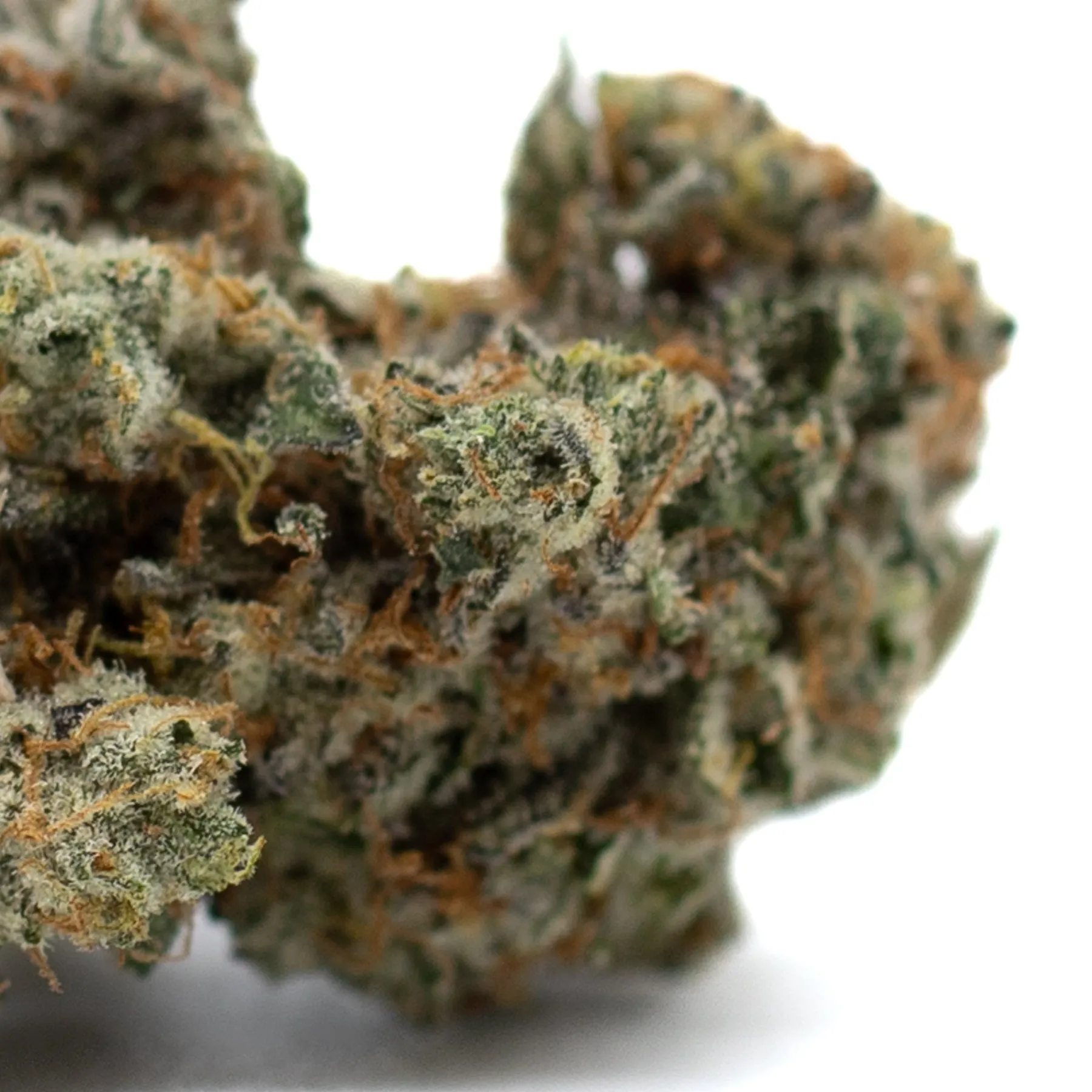 Mint Runtz Indoor THCa Flower