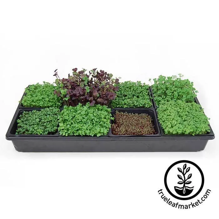 Sectional Hydroponic Microgreens Starter Kit