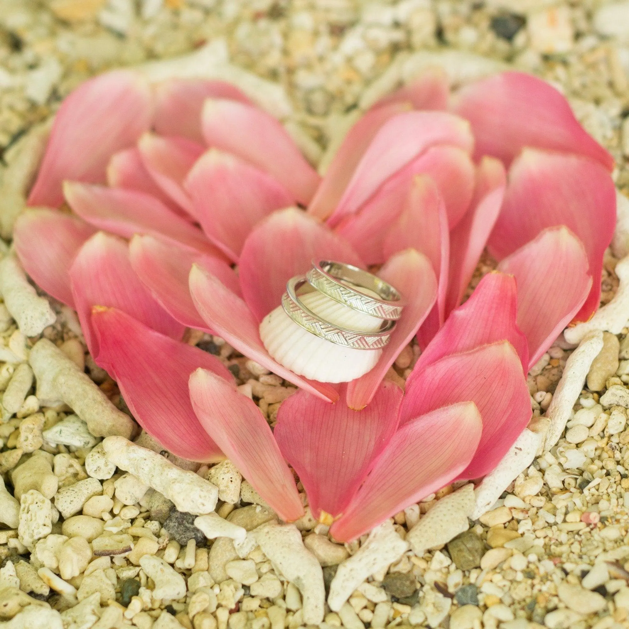 WHOLESALE Woven Mat Pasifika Unisex Ring - 925 Sterling Silver FJD$